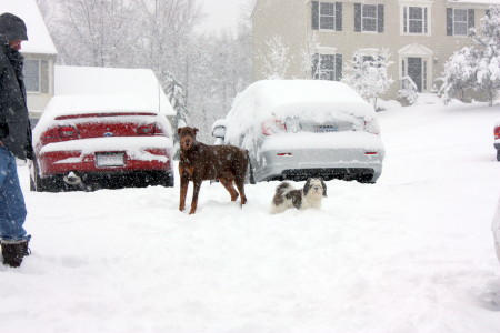 Snow Day, February 2009