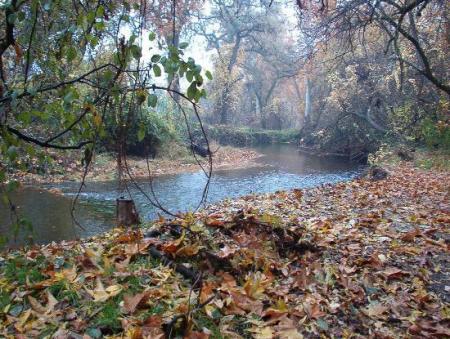 Bidwell Park middle of town