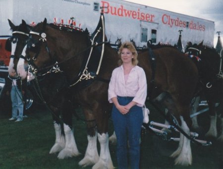 Shar and horses 1980's