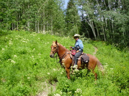 Summer riding out West