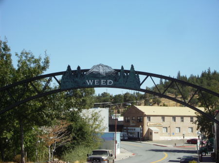 Weed, Ca