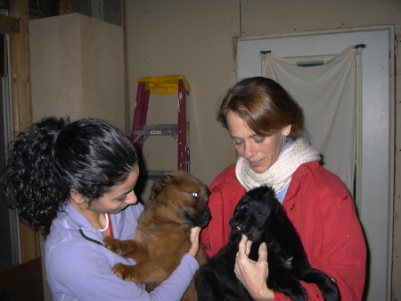Picking up my new pups in 2004
