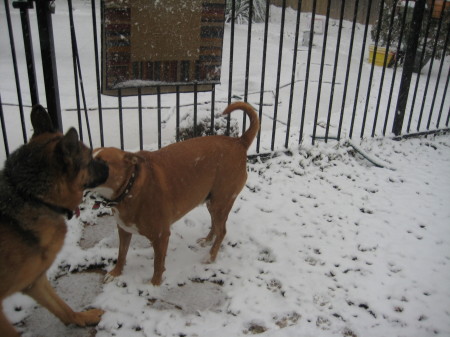 Christmas Eve Snow in Texas  2009