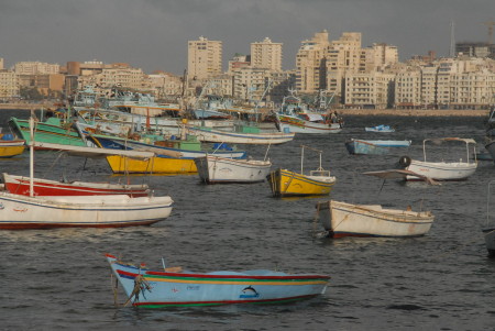 ALEXANDRIA