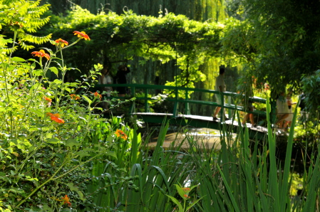 Monet;s garden in Paris