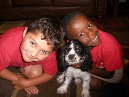 Carter and Coby with the new dog - Copy (2)