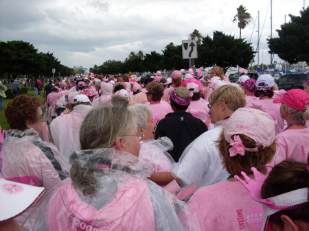 2008 Tampa 3 Day Breast Cancer Walk