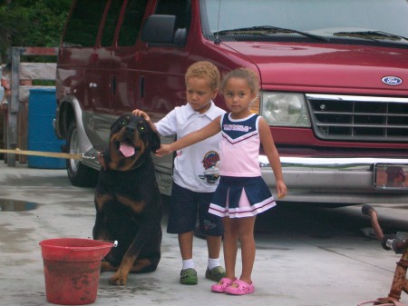 the biggest baby "BUDDY"the rotti