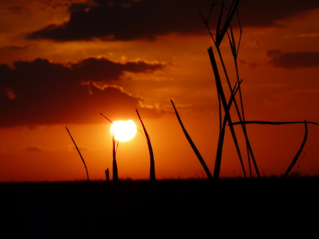 sunset over the Glades