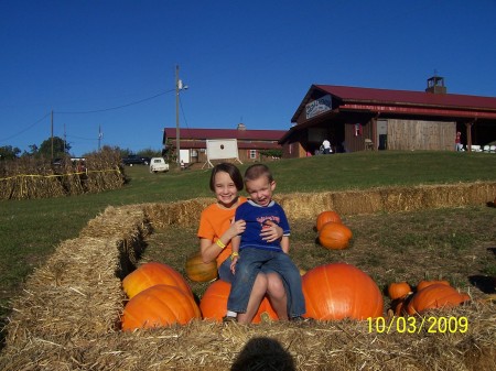 A day at the Corn Maze