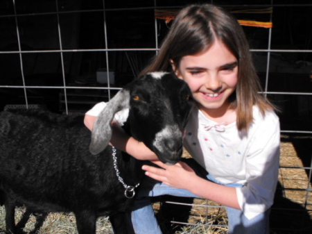 Lily and her 4H milk goat