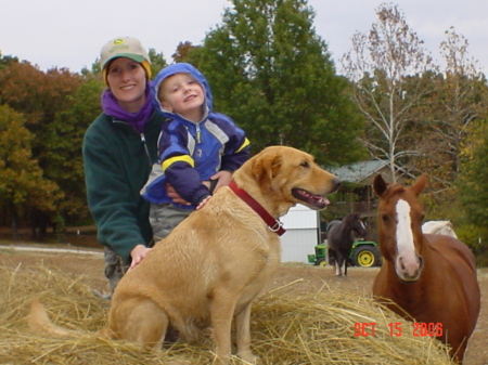 The Farm in Missouri