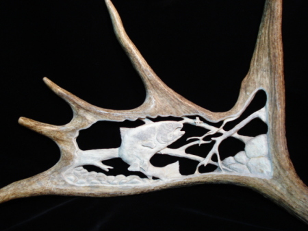 Antler 1