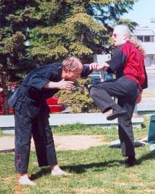 kung fu at the park