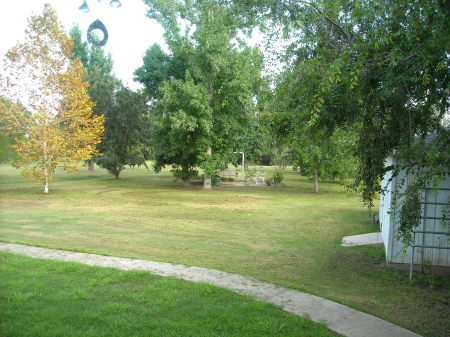 back yard