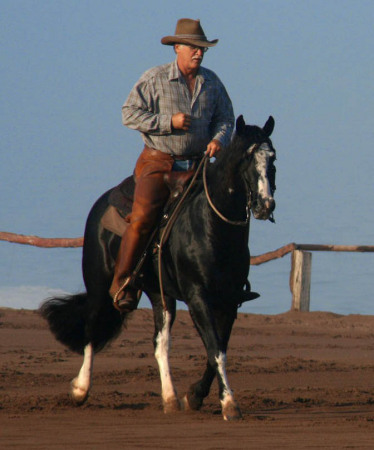 Swinging Tail trot