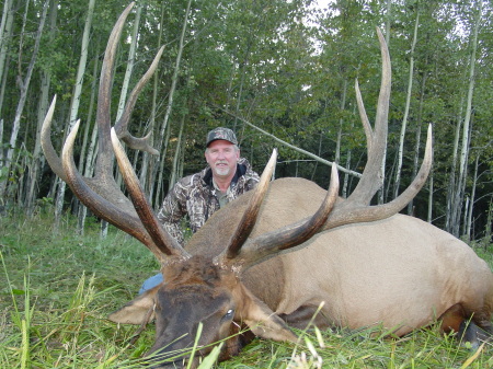 Elk Hunting 7x6  420-3/8 points