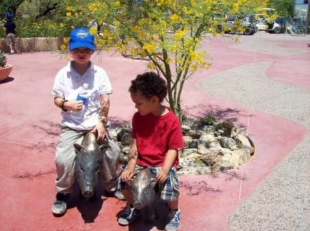 Jesi at the Sonora Desert Museum