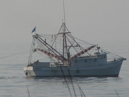 Shrimp Boat