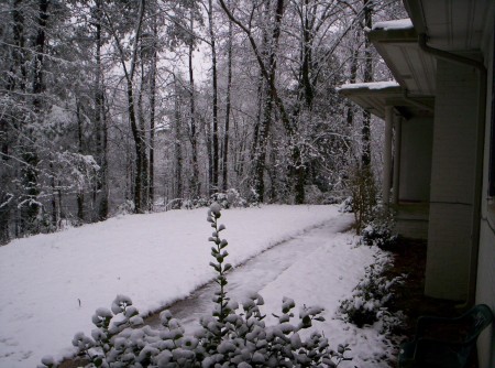 Snow of '09