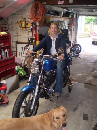 1984 Harley Custom Sportster