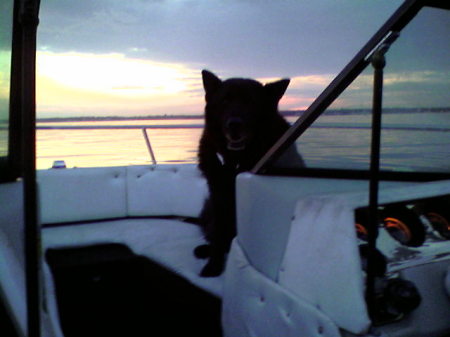 toby loves boating