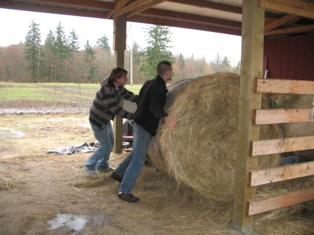 Putting up Round Bales