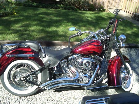 My new 2009 Harley Deluxe