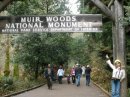 Hiking in Muir Woods