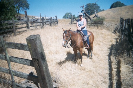 Riding Horses