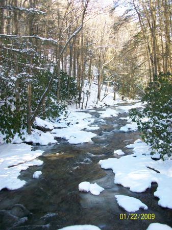 Roan Mountain