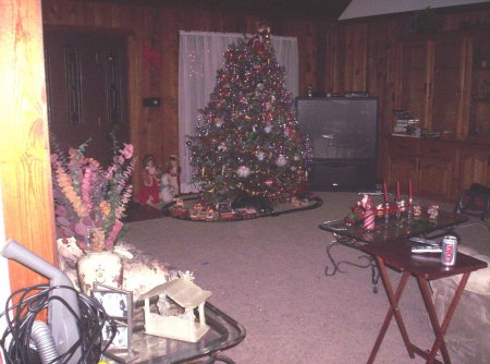 our frist christmas at the new house