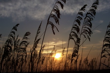 Florida Sunset...