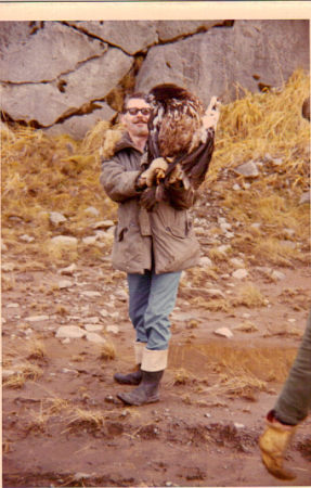 Adak, Alaska    Bald Eagle