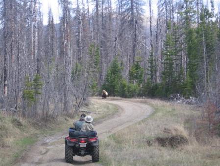 Grizzly siteing while ATVing