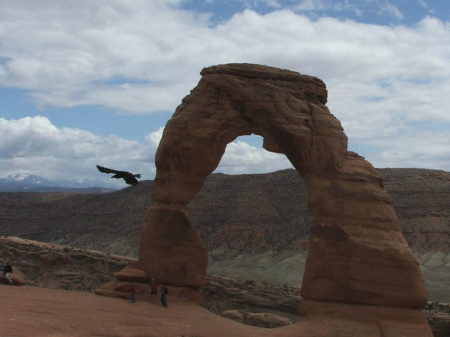 Delicate Arch