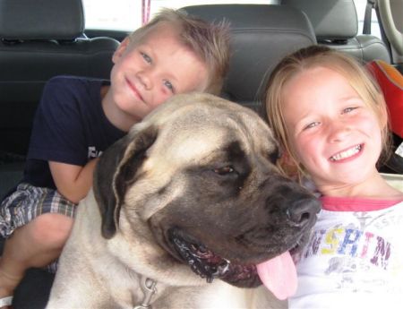 Kaden, Goliath and Kylee ( Jen's 2 kids)