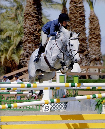 Show Jumping