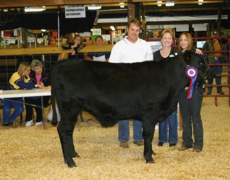 Champion Steer PNS Interstae Fair 2008