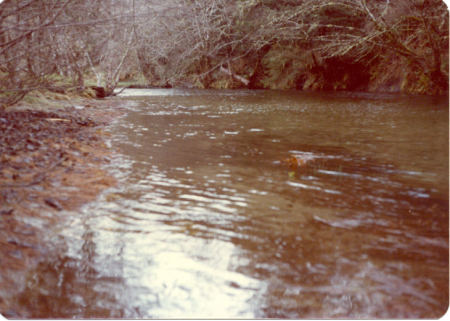 A Special Place on the Creek