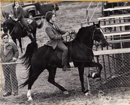 1974 Tennessee Walking horse second place