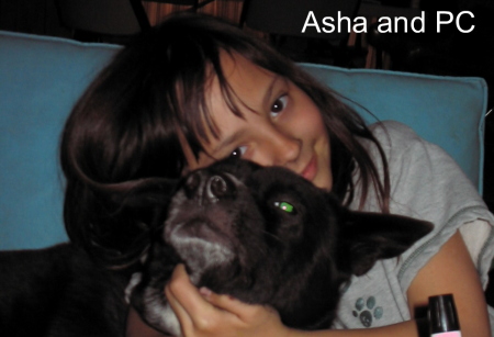 Asha and PC 2009