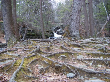 Dingmans Ferry PA