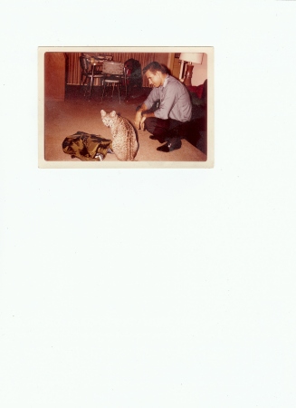 Kit my pet bobcat 1966