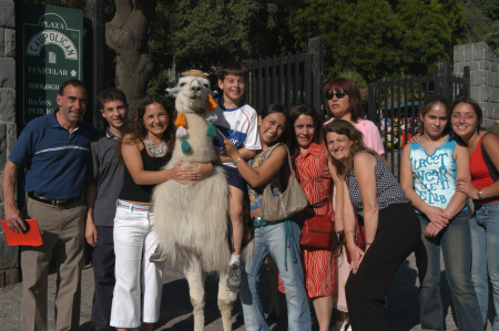llama large