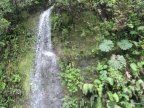 Rainforest waterfall