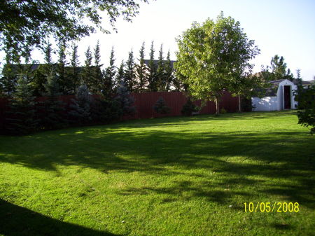 other side of backyard