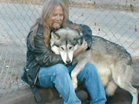 my pet wolf "Cheyenne"