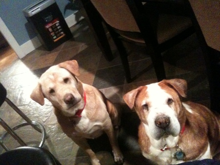 Lucy "Red one, Mama", & Ariel daughter