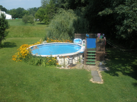 My pool